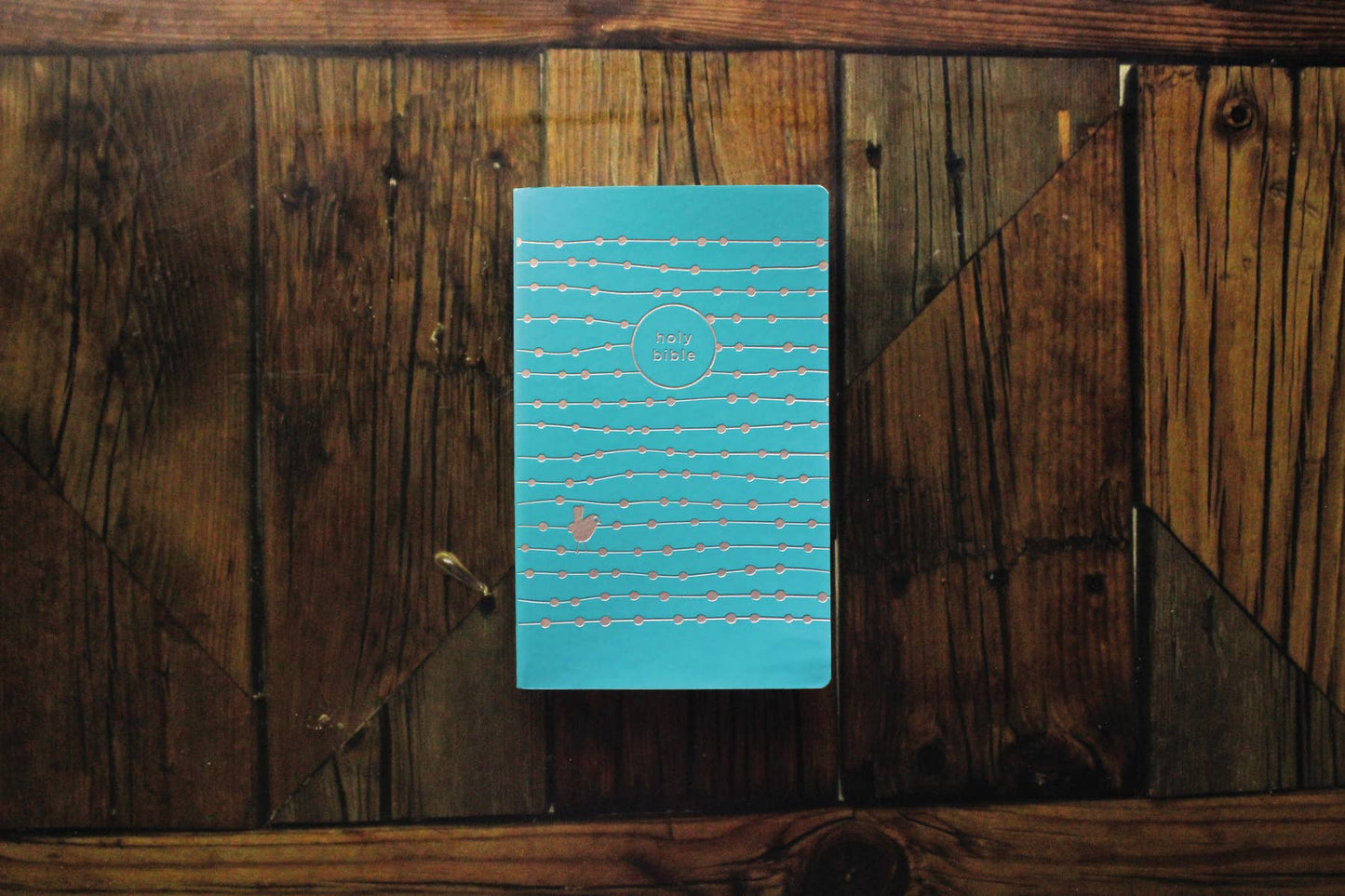 NIV Bible for Girls Soft Touch Edition Leathersoft Teal